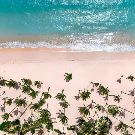 Hyatt Vivid Punta Cana (Adults Only)-3